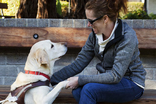 Good Canine Teeth: A Vet Tech’s Journey + Dog Dental Advice