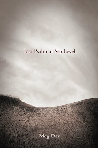 Last Psalm at Sea Level book cover