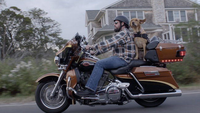 To Be of Service documentary still of a vet riding a motorcycle with a service dog riding on back.