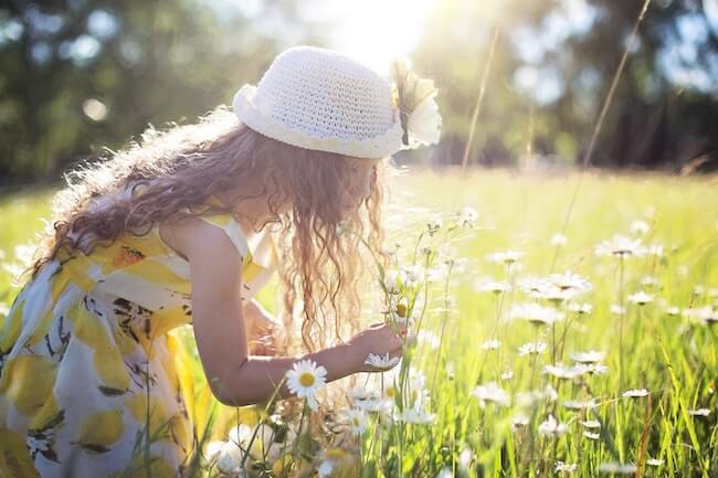 Young girl in a sunny field picking daisies.